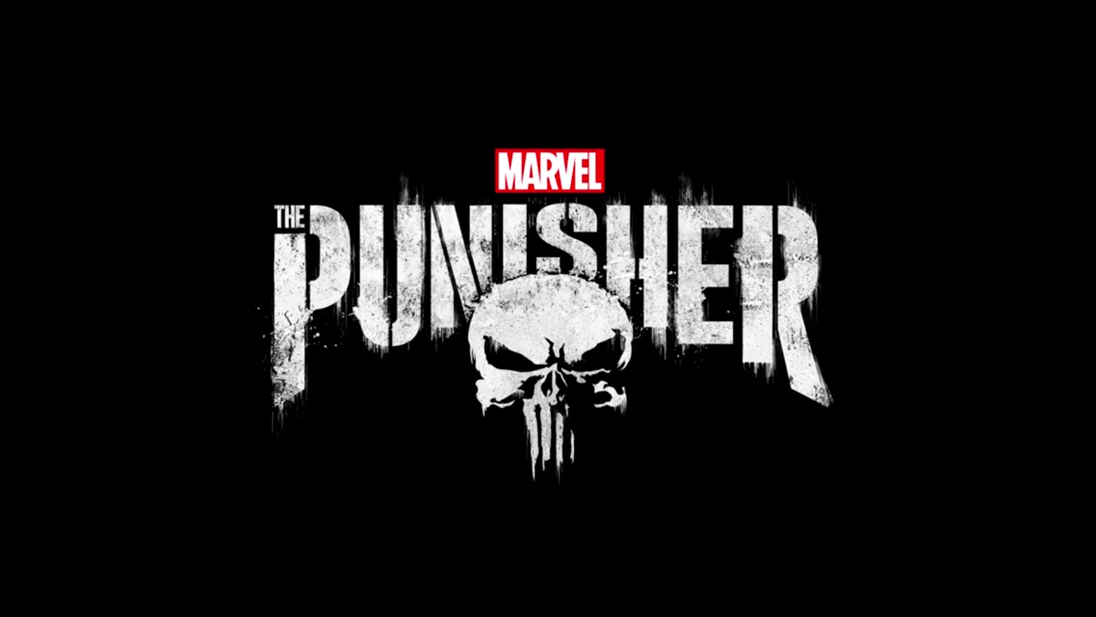 Marvel The Punisher - NETFLIX